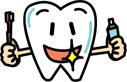 ピカピカ臼歯